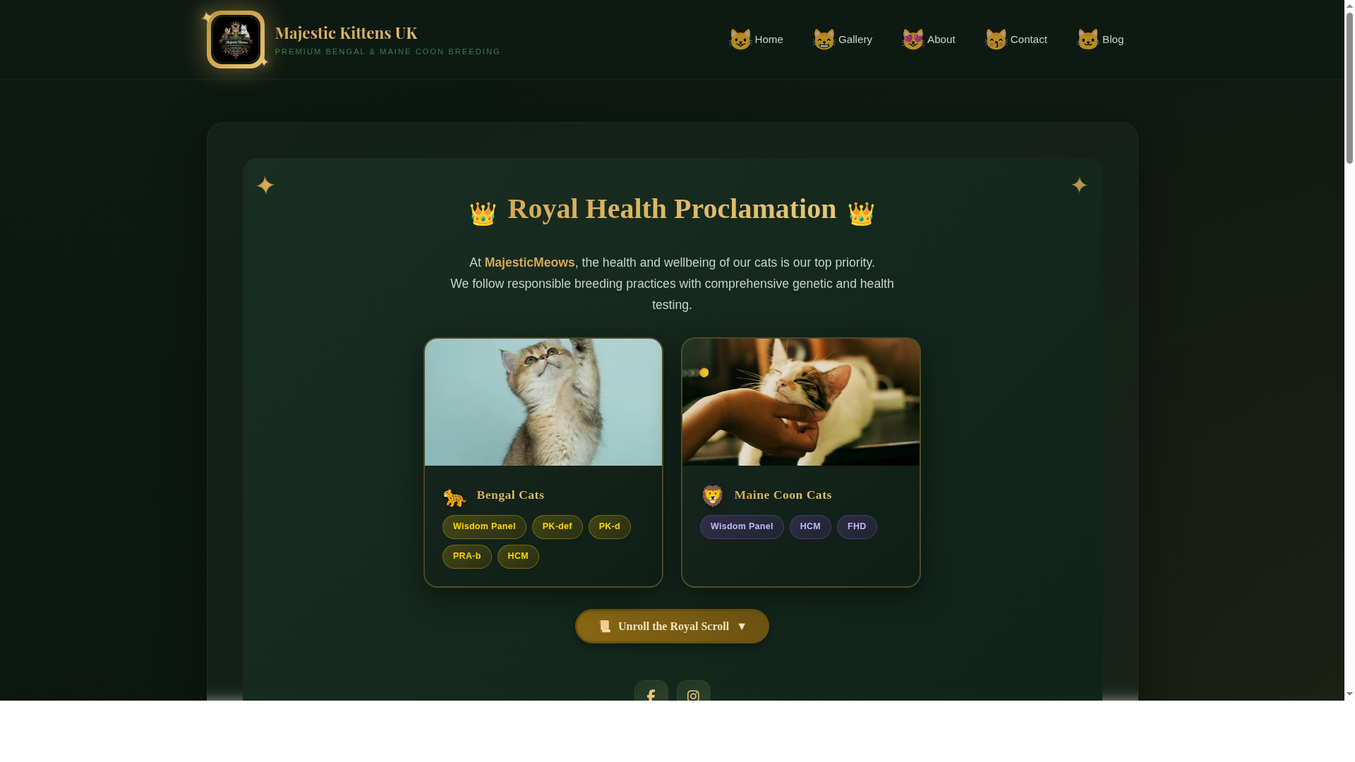 Majestic Kittens UK — Premium Cattery CMS